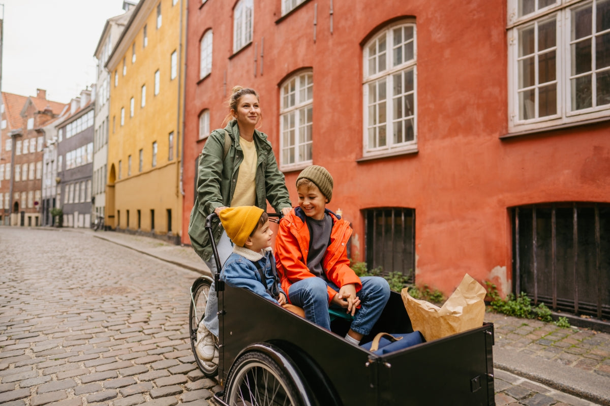 Bakfiets accessoires geschikt voor Babboe Curve door Qiewie