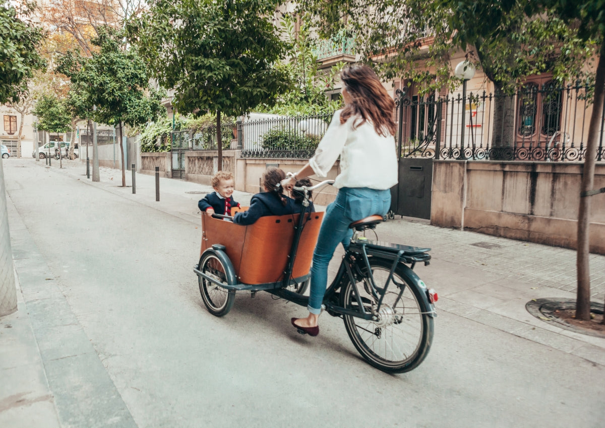 bakfiets accessoires geschikt voor Babboe City door Qiewie